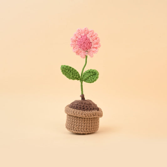 🎁 Crochet Flower