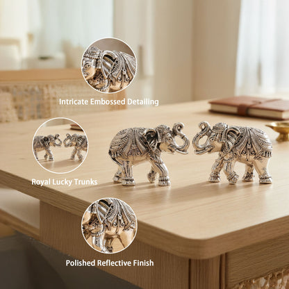 999 Silver Elephant Pair Gift Box